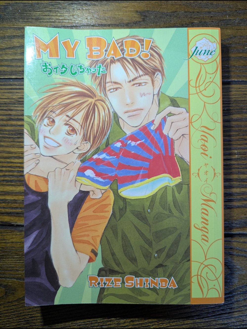My Bad! Yaoi Manga by Rize Shinba